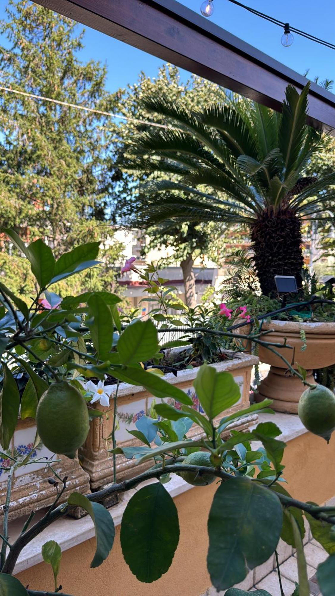 Bed and Breakfast Relais Sorrento Terrace And Relax Exteriér fotografie